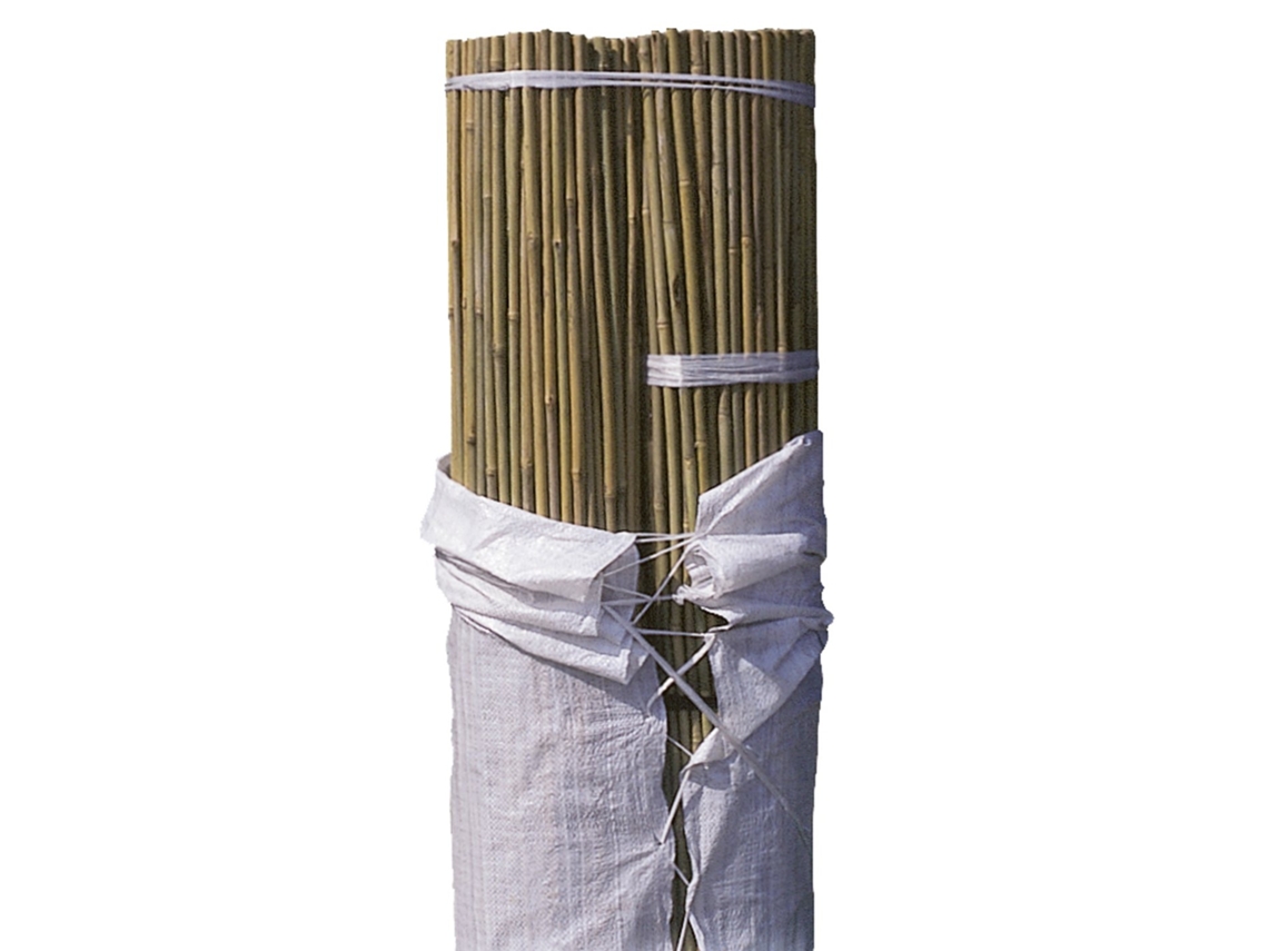 Faura - Bala Tutor Bambú - 500 Unidades Alt: 60cm / Diam: 6-8mm | Alt: 60cm / Diam: 6-8mm ()