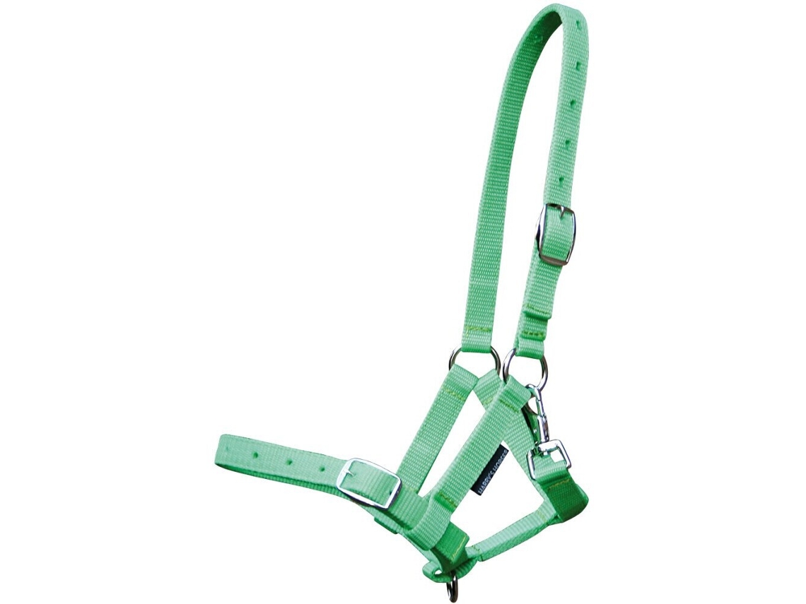 Cabresto para potro Harry's Horse