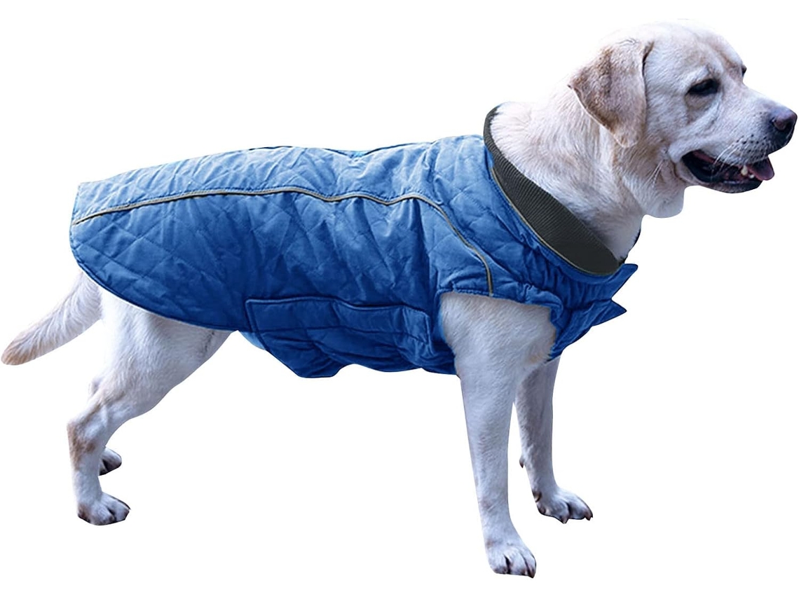 Colete Acolchoado E Refletor Cães No Inverno