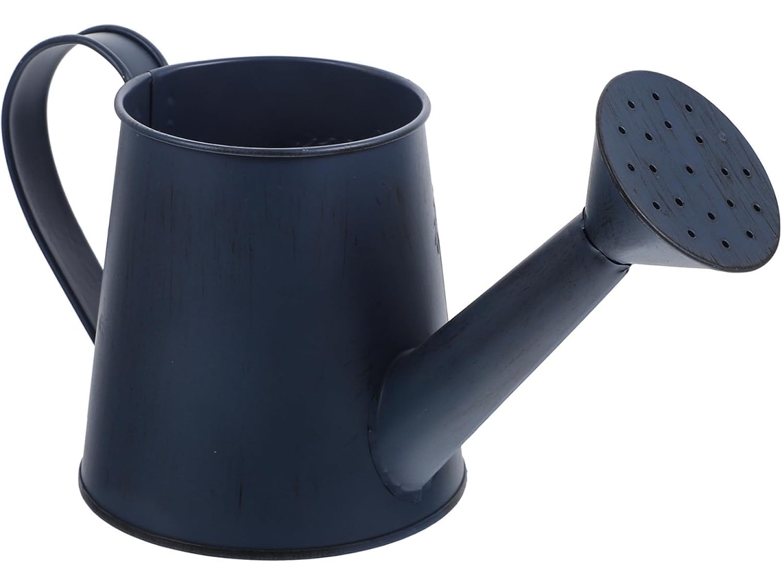Vaso de Ferro Vintage em Estilo Antigo. Vaso Criativo para Suculentas com Superfície Antiderrapante e Compartimento CHABERLU