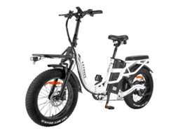 Bicicleta Elétrica FAFREES F20 X-Max 20X4.0 Polegadas Pneu Gordo 750W Motor Sem Escova 48V 30Ah Bateria Velocidade Máxima Padrão 25Km/H Branco