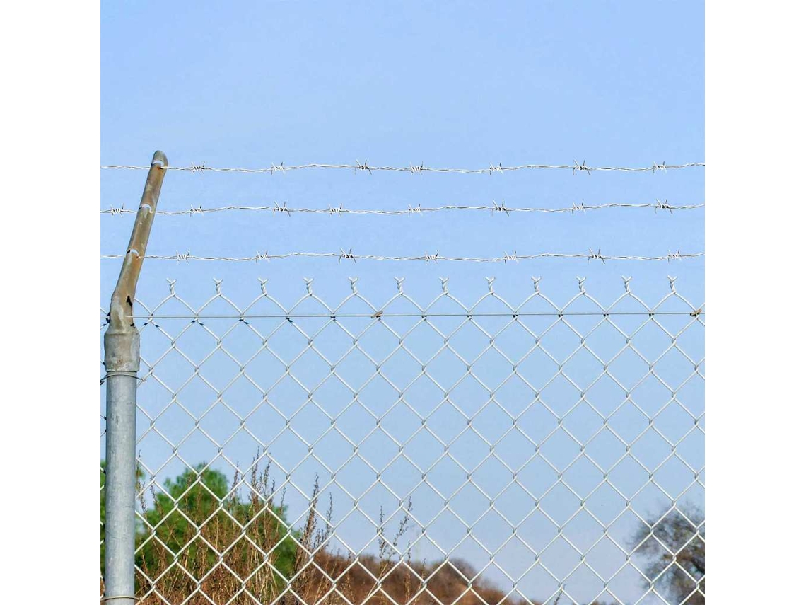 Vidaxl Arame Farpado Prateado 50 M Aço Galvanizado A Quente