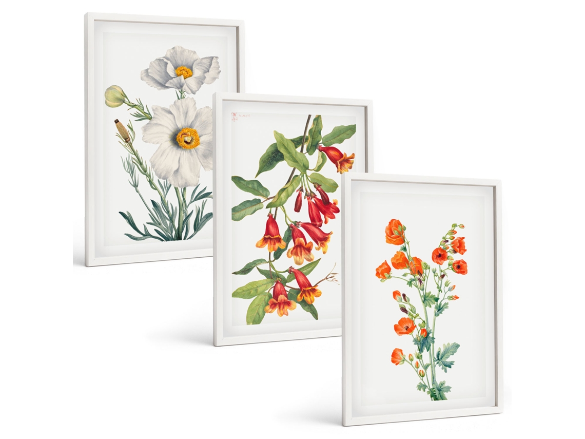 Conjunto De Pinturas Composições Florais Retrô Espelharte (3 Peças 40x60 Cm)