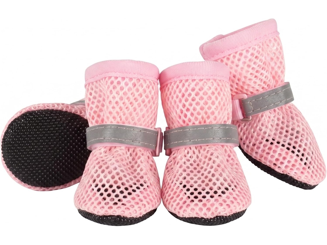 Botas Cães Calçada Quente