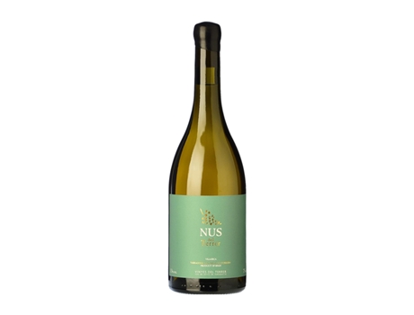 Vinho branco VINYES DEL TERRER Nus Blanc Sauvignon Branca Tarragona Crianza (0.75 L - 1 Unidade)