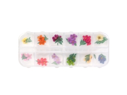 Decoração De Unhas Com Flores Secas Naturais 12 Cores Para Arte De Unhas Em Gel Uv E Acrílico