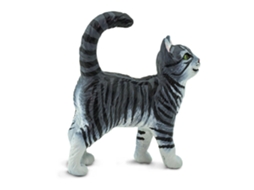 SAFARI Gray Tabby Cat