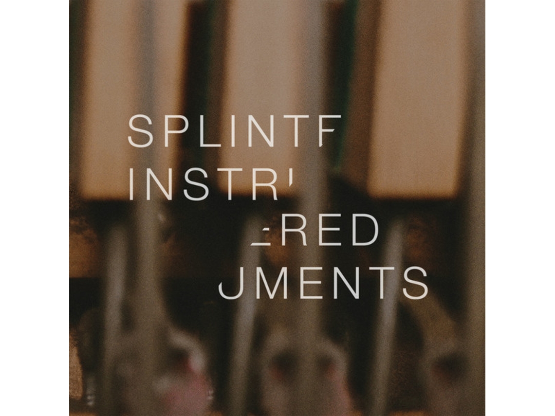 Vinil Matthew Collings - Splintered Instruments