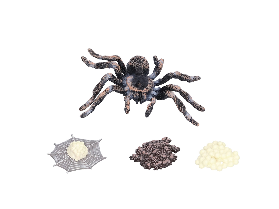 Primerox modelo de Ciclo de Crescimento de Aranha Life Cycle Figura Insecto Brinquedo Lifelike para Crianças