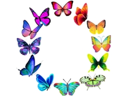 100 Adesivos Decorativos Para Mala, Laptop E Notebook. 100 Adesivos Decorativos Para Mala, Laptop E Notebook. Gokoco