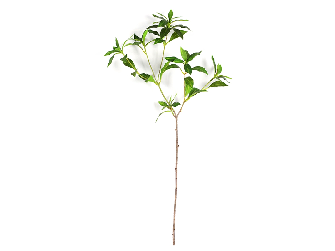 Vaso de 40cm para Pieris Japonica com Ramos LAXISCREED