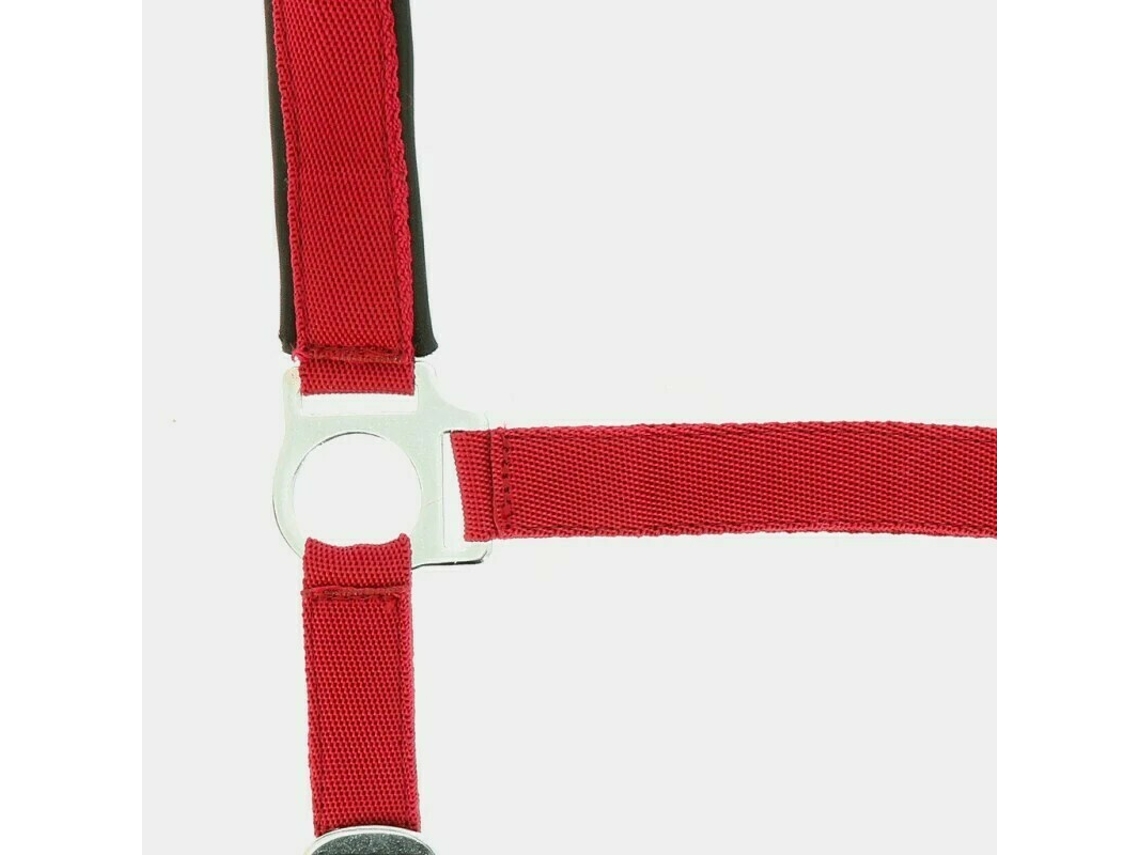 Cabresto para cavalos Norton Doublé néoprène