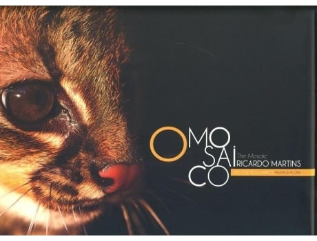 Livro O Mosaico - São José Dos Campos Fauna E Flora De Ricardo Martins (português - Capa Dura)