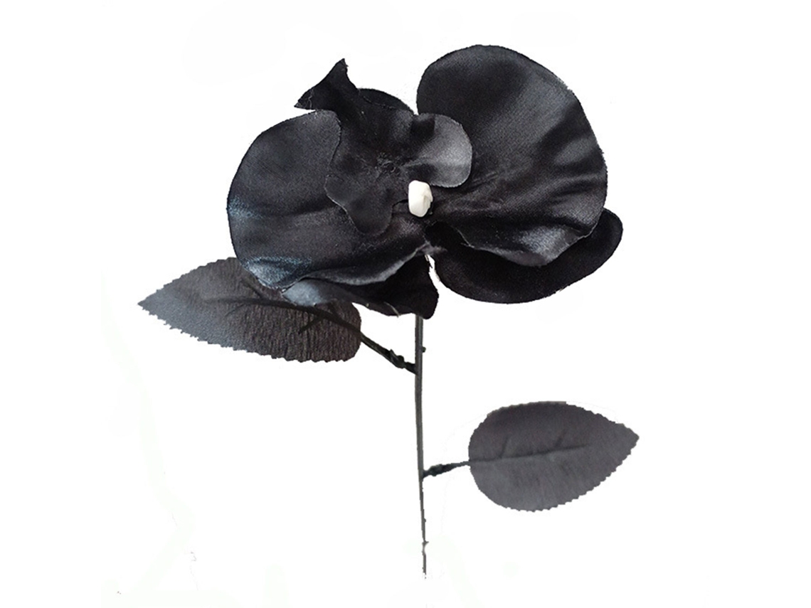 Mini orquídea Phalaenopsis de Seda, 38cm LAXISCREED