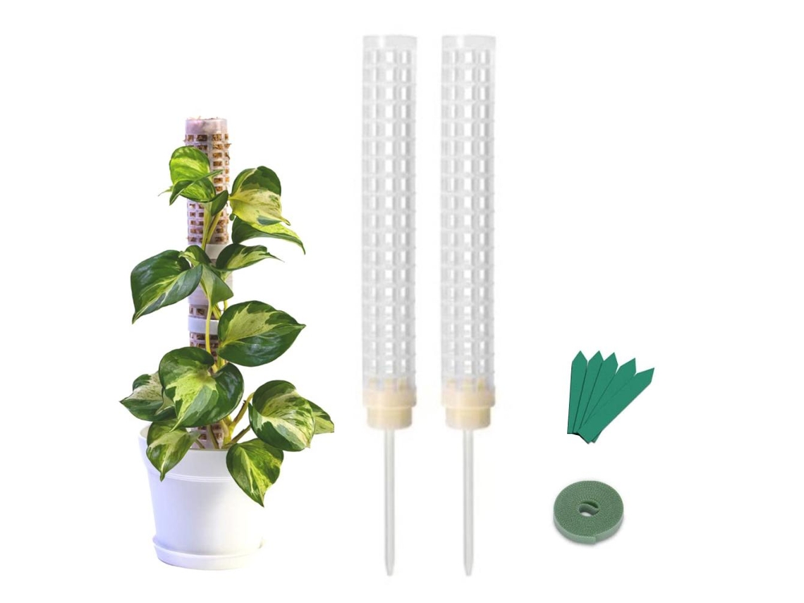 Polo De Musgo 25cm Para Plantas Trepadeiras Interiores