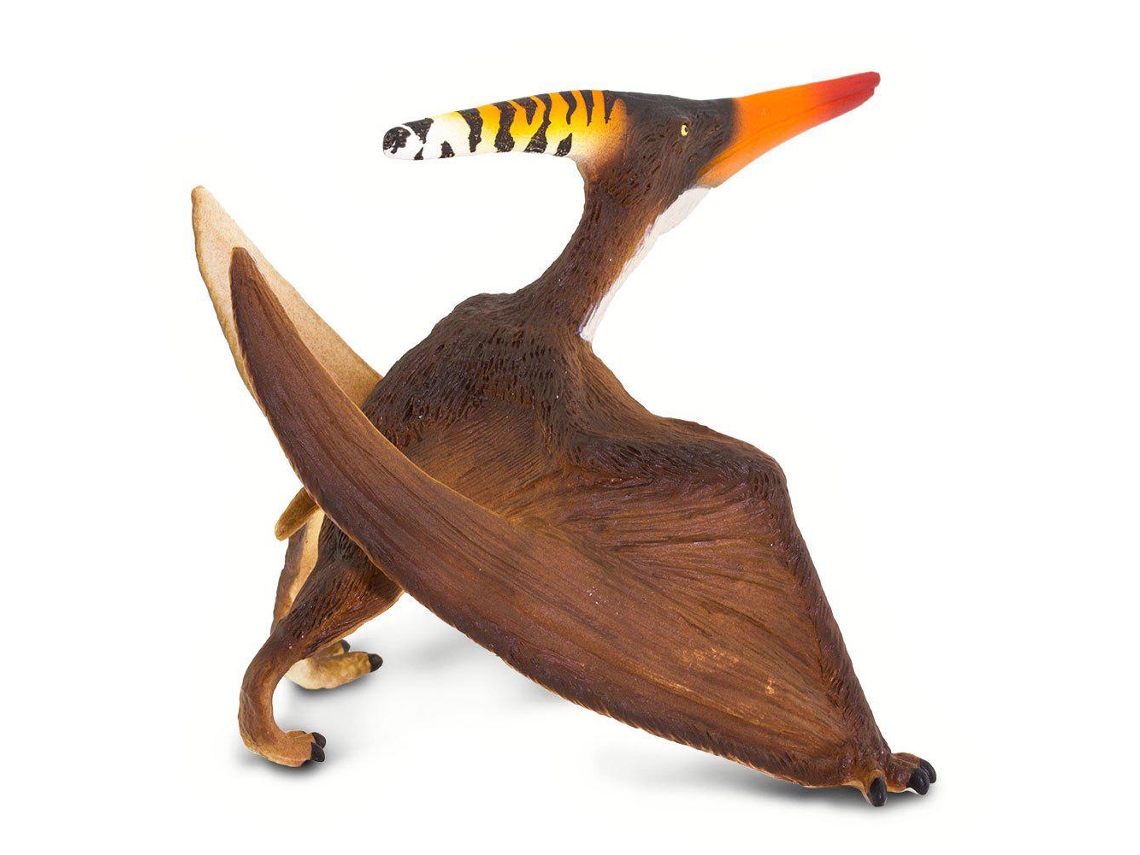 SAFARI Pterandon