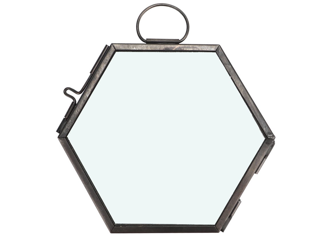 Quadro De Vidro Hexagonal Para Flor Seca E Espécime