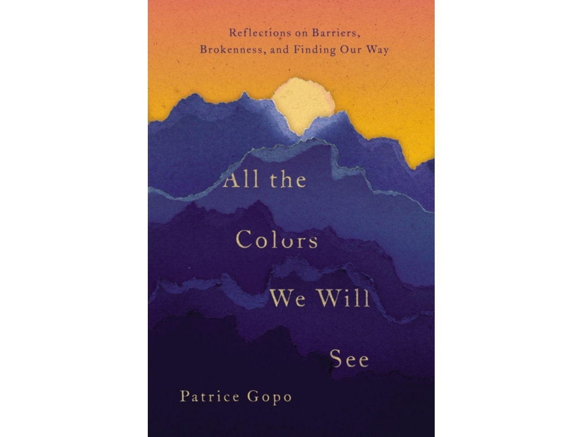Livro all the colors we will see de patrice gopo (inglês)