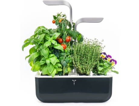 Horta Urbana Véritable