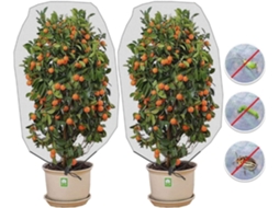 Rede De Malha De Jardim Para Plantas, Material Durável Com Design De Cordão Para Fácil Uso, Cobertura De Plantas Reutilizável Para Proteger Árvores Fr