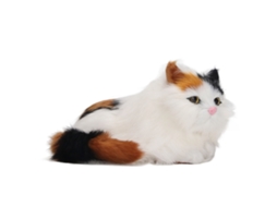 Primerox boneca de Gato Pelúcia Simulada com Olhos Abertos Lifelike Brinquedo Decorativo de Pêlo Macio