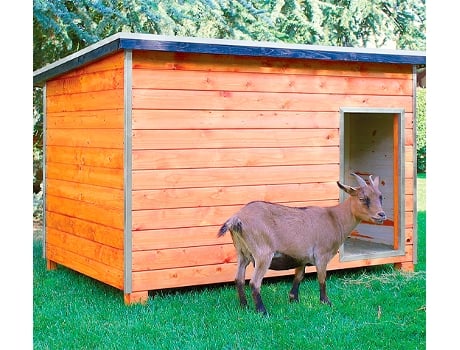 Gallinero para Pavos y Otras Grandes Aves - Caseta para Animales - Refugio para Cabras y ovejas