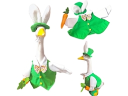 Fantasia De Ganso Verde Sazonal - Traje Para Porta - Vestido Para Varanda E Quintal