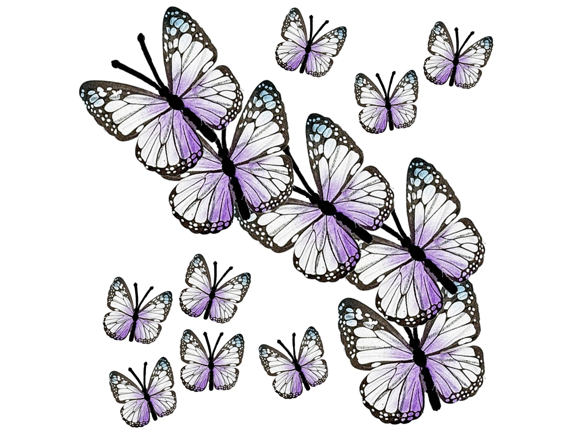 Laxiscreed Butterfly Series F Lan Yun Borboleta Artificial Para Decoração De Casamentos E Interiores
