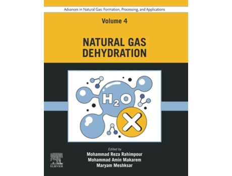 Livro Advances In Natural Gas Formation, Processing, And Applications. Volume 4 Natural Gas Dehydration De Mohammad Reza Rahimpour (inglês)