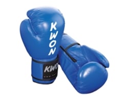 Luvas de Boxe KWON Ergo Champ