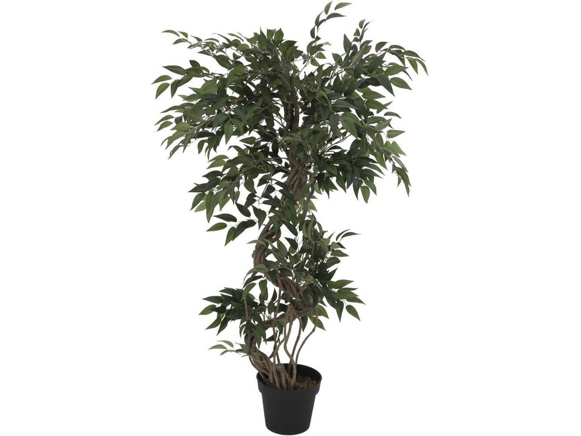 Planta Artificial EUROPALMS Ficus (Verde - 130 cm)