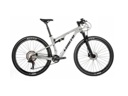 Bicicleta de Montanha de Carbono com Suspensão Dupla LOBITO Mt20 Cinza Pérola Tamanho 15 S