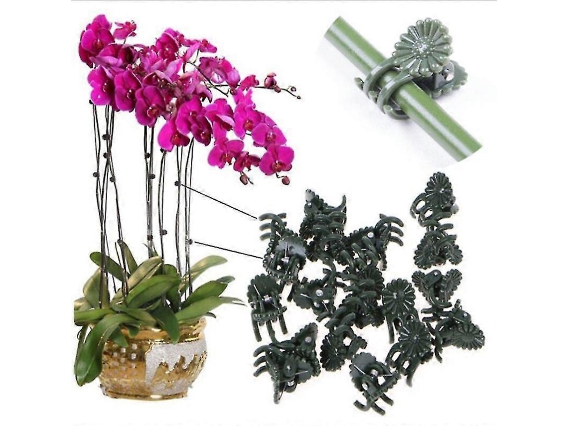 Clipes para suporte de plantas 20/50/100 AQUAFORGE