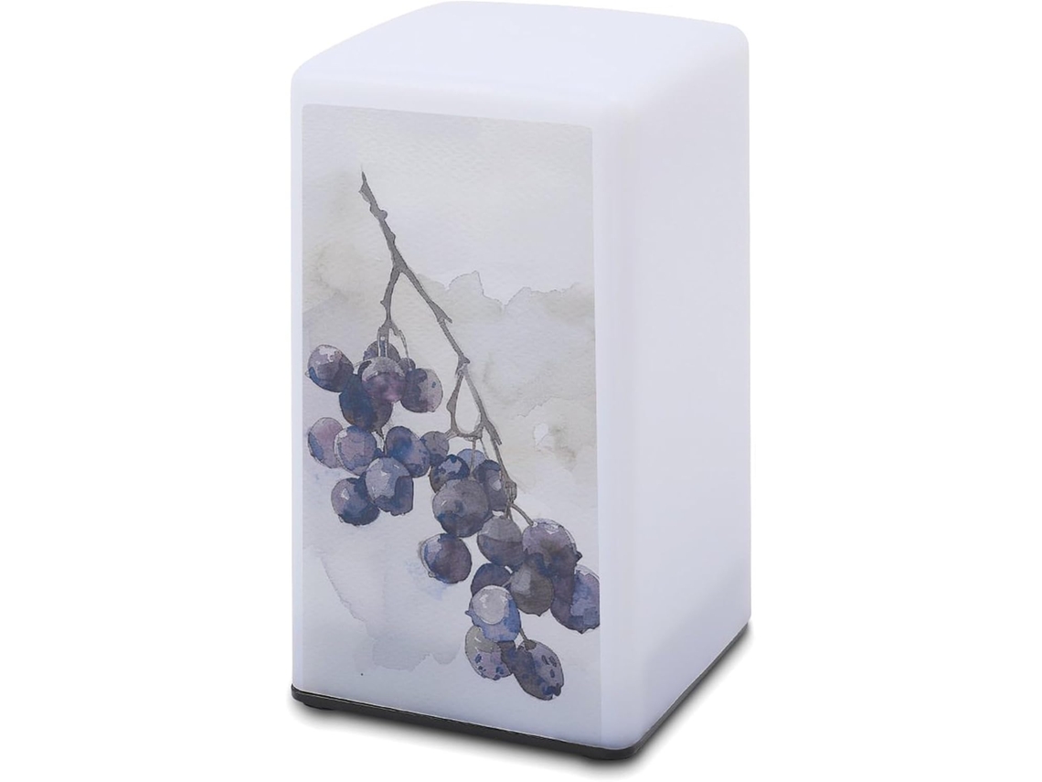 Luminária De Mesa Pequena Com Estampa Frutinhas E Letras Pequenas, Funciona A Bateria, Luz Suave, Ideal Quarto