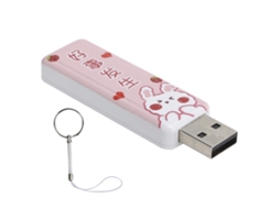 Pen Drive LAXISCREED 128GB USB 2.0 Push Pull