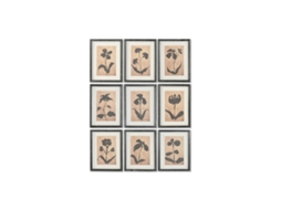 Pintura Home Esprit Castanho Preto Urbana Plantas Botânicas 30 X 2 X 40 Cm (9 Unidades)