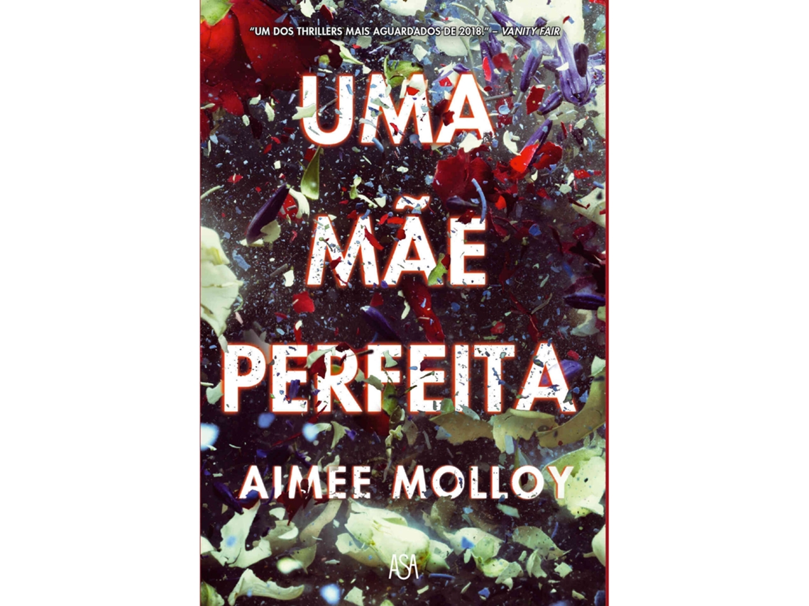 Uma Mãe Perfeita AIMEE MOLLOY 