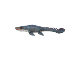 Mali modelo de Dinossauro Marinho Altamente Simulado Decorativo Ornamentosala Casa Brinquedo Infantil