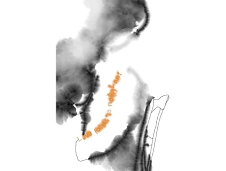 Livro Love Poems to Modigliani de Matt Bodett (Inglês)
