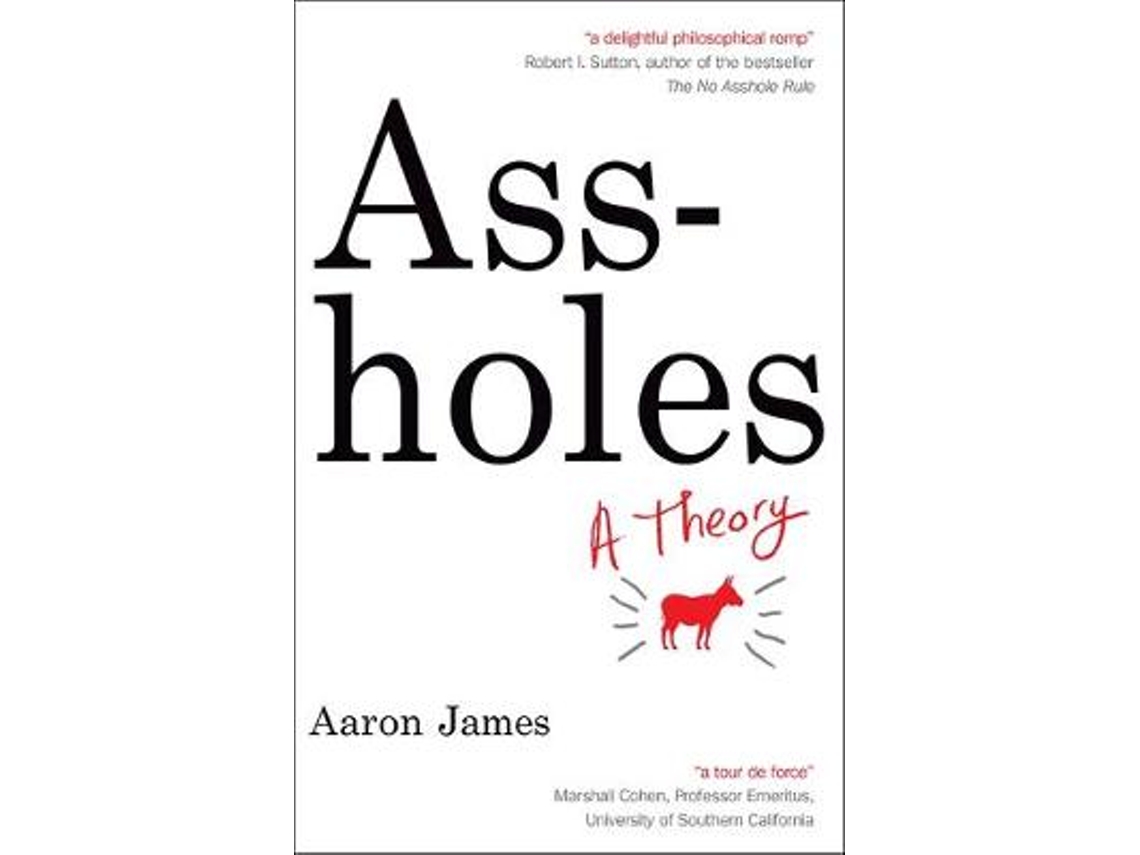 Livro Assholes de Aaron James (Inglês)