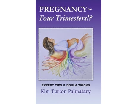 Livro Pregnancy Four Trimesters!? de Kim Turton Palmatary (Inglês)
