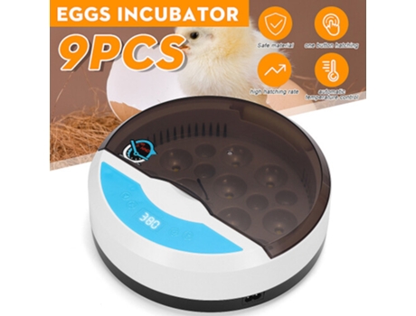 Incubadora Automática Digital 9 Ovos Galinha Luz Led Incubadora Girando Temperatura Na Onbuy Zsanfs
