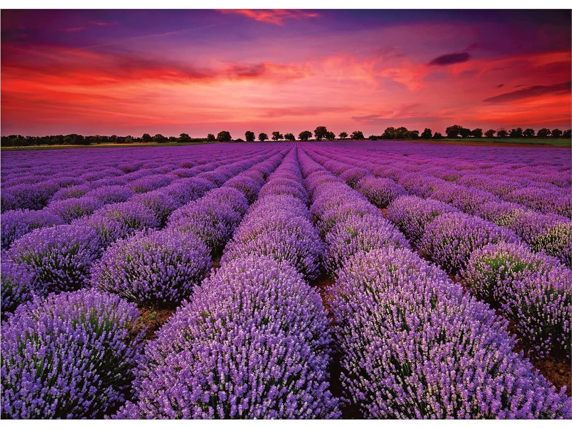 Quebra-cabeça De 1000 Peças Com Flores De Lavanda E Campo De Lavanda Da Provença, Quebra-cabeça De Paisagem Da França (roxo)