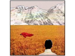 Vinil Lady Lamb - After (1CDs)