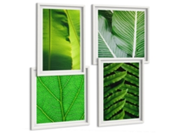 Conjunto De Pinturas Folhas Tropicais, Macrofotografia Moldura Branca Imagens Para Um Quarto Infantil Espelharte (conjunto De 4 Imagens)