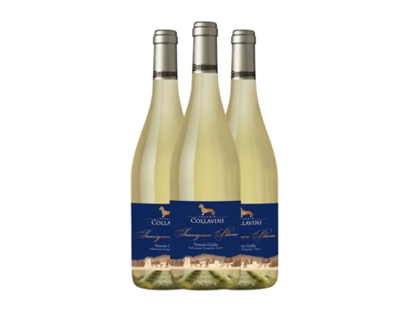 Vinho branco COLLAVINI Sauvignon Branca Friuli-Venezia Giulia (0.75 L - 3 Unidades)