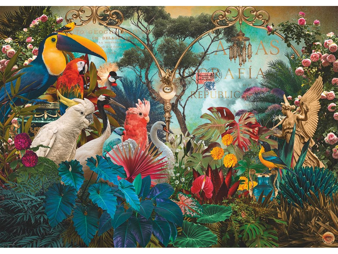 Quebra-cabeça Heye Birddiversidade De 1000 Peças, Coloridas E Divertidas.