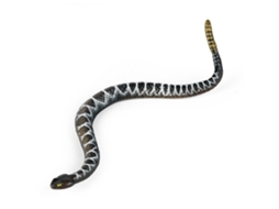 Primerox brinquedo de Cobra Realista Borracha Cascavel Estática Figurina Selvagem para Jardim Brincadeira Infantil Props de Brincadeira