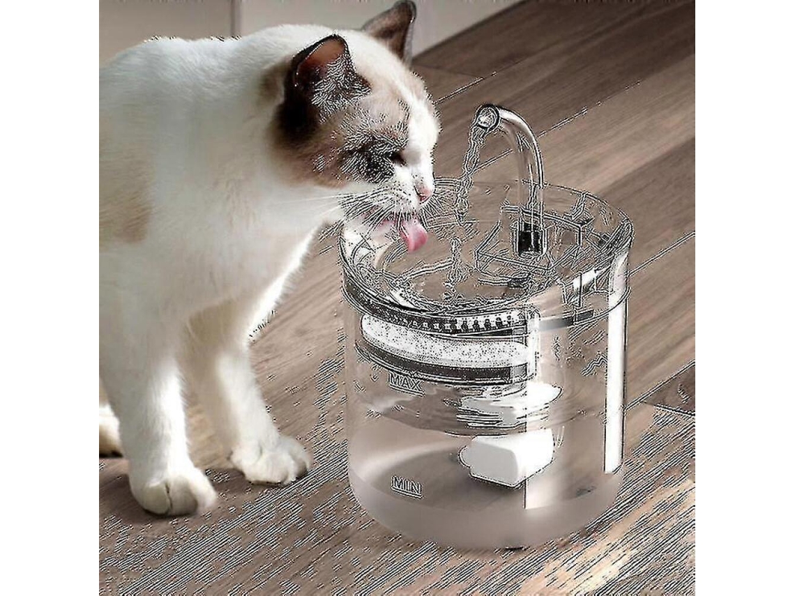 Dispensador Automático De Água, Capacidade 2 L, Para Uso Doméstico E Hidratação Diária, Com Reservatório Funcional E Limpeza Simples