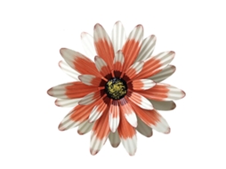 Arte De Ferro Flor 3d Decoração Parede Ambiente Interior